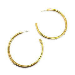 Stainless Steel Post Hoops