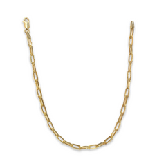 Paperclip Chain Long Link 9.25" Anklet