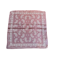 Noellery Pink Paisley Silk Scarf