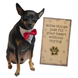 Paw Print Enamel Pin