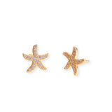 Starfish CZ Studs