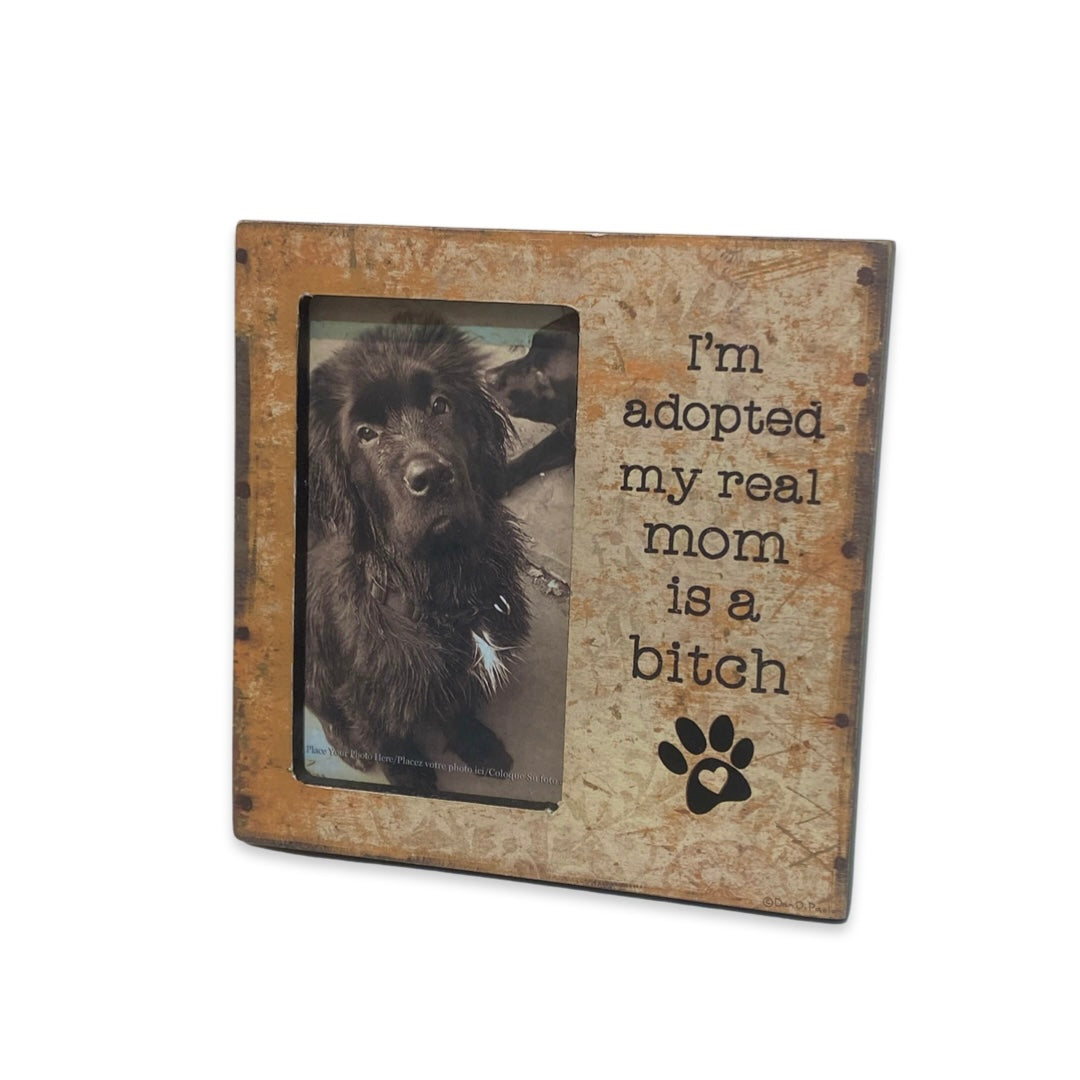 Dog Box Sign Picture Frame- I’m Adopted.