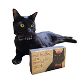 Box Sign- Black Cat My Human is Crafty