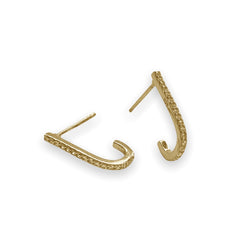 Hook Sparkle Hoop Earrings
